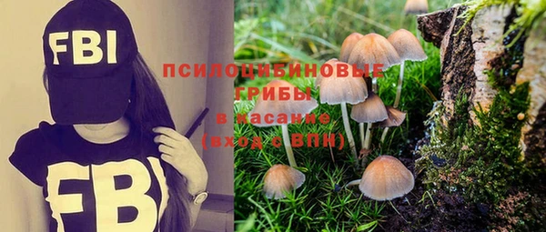 метадон Медногорск