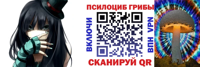 Галлюциногенные грибы прущие грибы  OMG сайт  Новохопёрск 